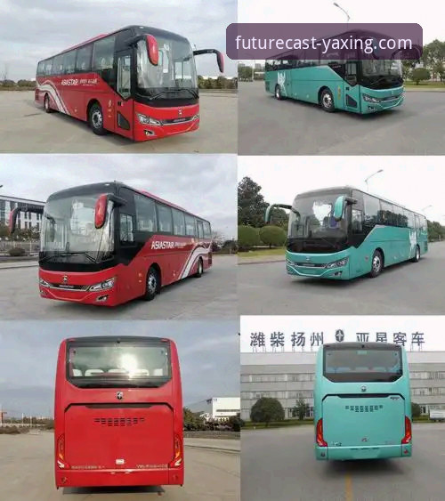 如何通过亚星体育平台，精准评估2026亚星客车的真实性价比？