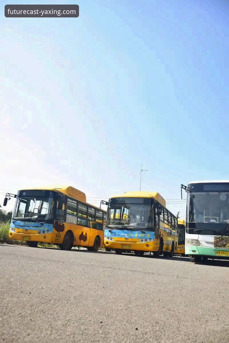 亚星客车可靠解决方案 亚星体育平台视角下的亚星客车可靠解决方案全面评测